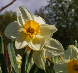 Similar image 21774338