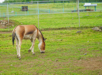 Similar image 21774340