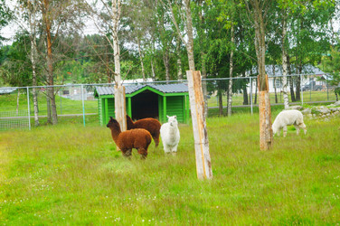 Similar image 21774344