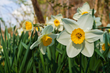 Similar image 21774346