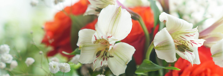 Similar image 21774347