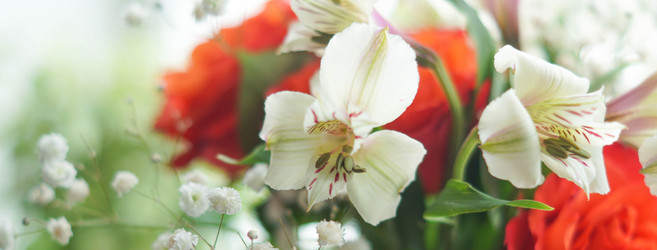 Similar image 21774351