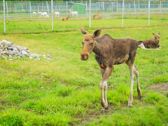 Similar image 21774352