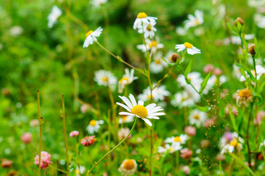 Similar image 21774353