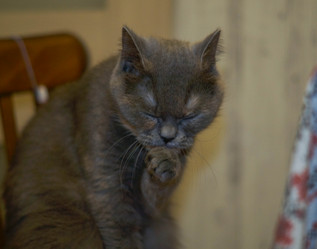 Similar image 21774356