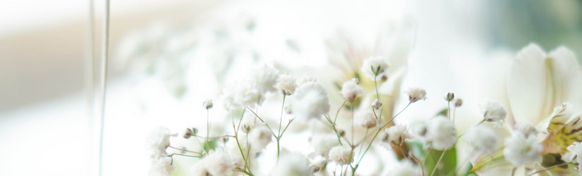 Similar image 21774358