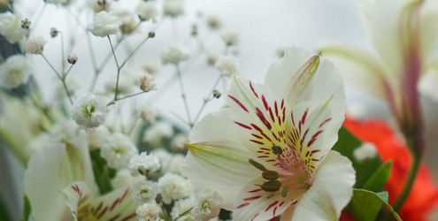 Similar image 21774362