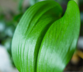 Similar image 21774367