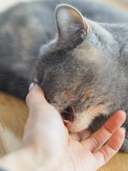 Similar image 21774378