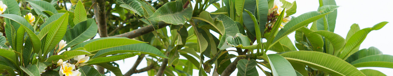 Similar image 21774391