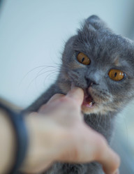 Similar image 21774392