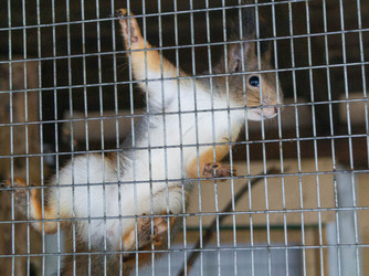 Similar image 21774395