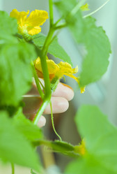 Similar image 21774396