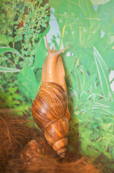 Similar image 21774400