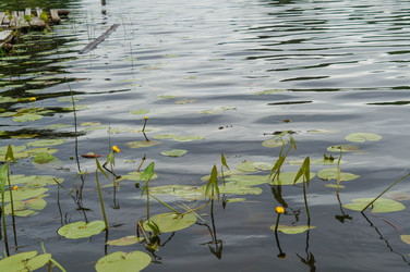 Similar image 21774409