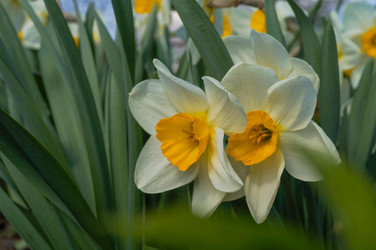 Similar image 21774416