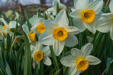 Similar image 21774417