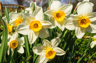 Similar image 21774421