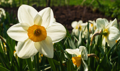 Similar image 21774425