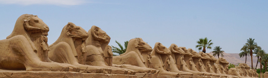 Similar image 21774426