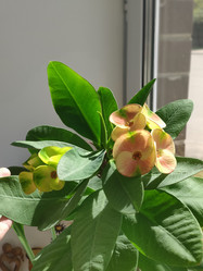 Similar image 21774433