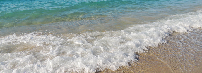 Similar image 21774440