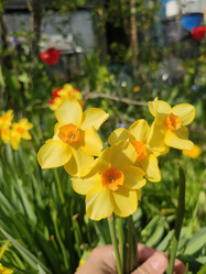 Similar image 21774441