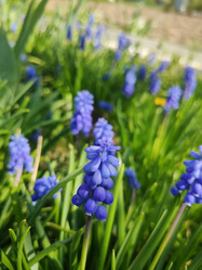 Similar image 21774445