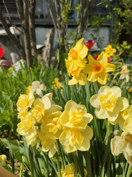 Similar image 21774447