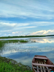 Similar image 21774448