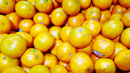 Similar image 21774451