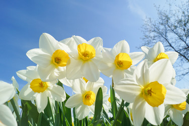 Similar image 21774452