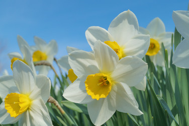 Similar image 21774454