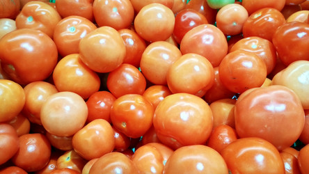 Similar image 21774455