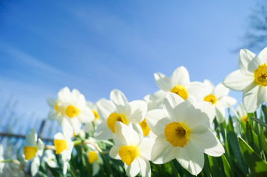 Similar image 21774456