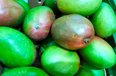 Similar image 21774457