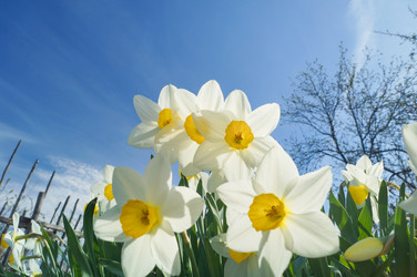 Similar image 21774458