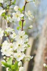 Similar image 21774460