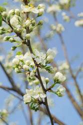 Similar image 21774462