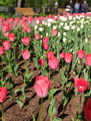 Similar image 21774463