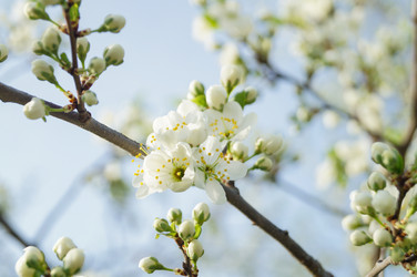 Similar image 21774464