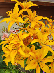 Similar image 21774465