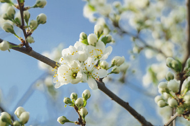 Similar image 21774466