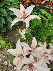 Similar image 21774467