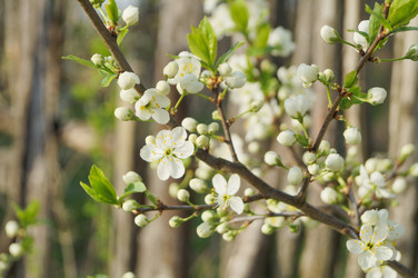 Similar image 21774468