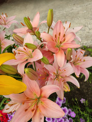 Similar image 21774469