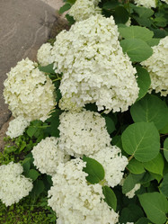 Similar image 21774471