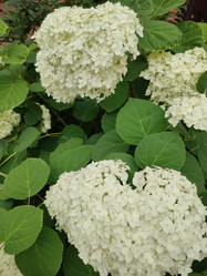 Similar image 21774472