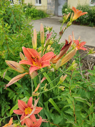 Similar image 21774473