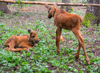 Similar image 21774475